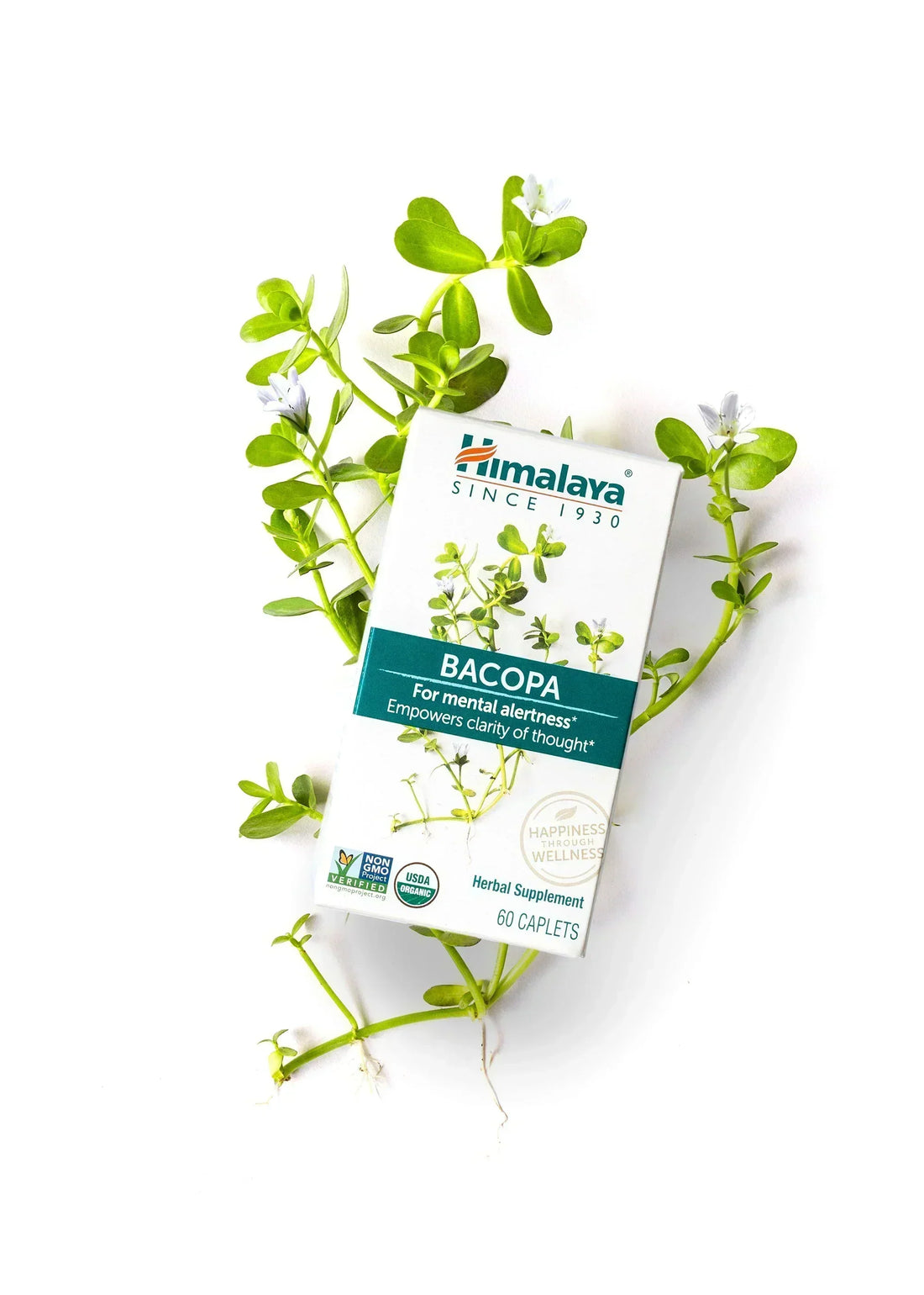 Himalaya USA