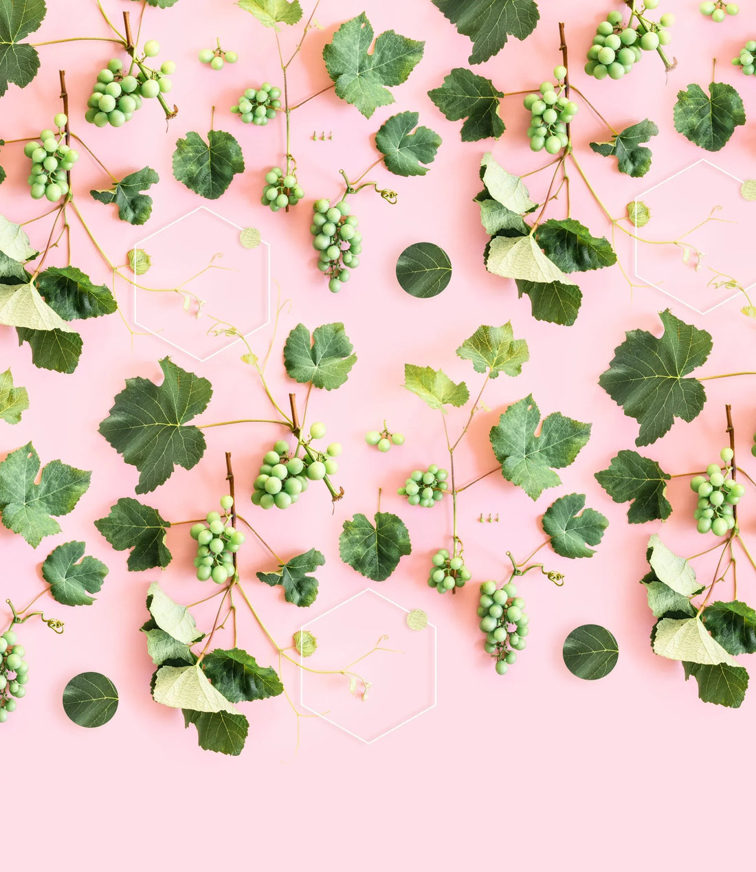 Plant Patterns
