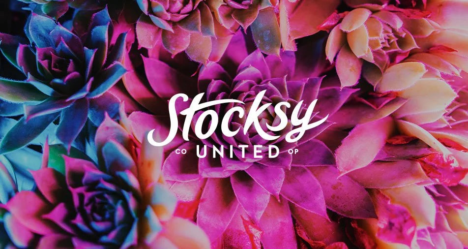 Stocksy United