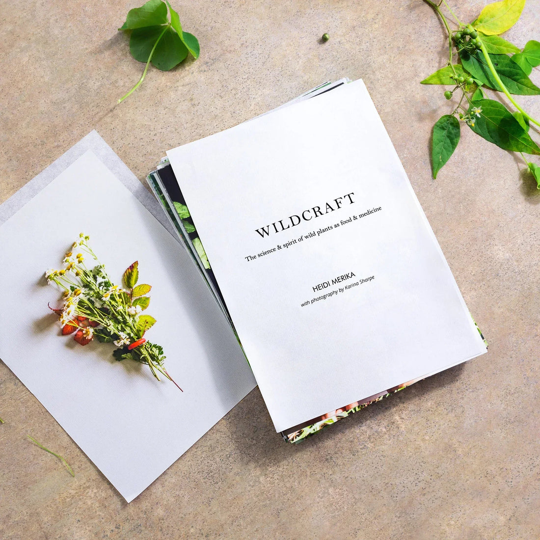 Wildcraft Preview