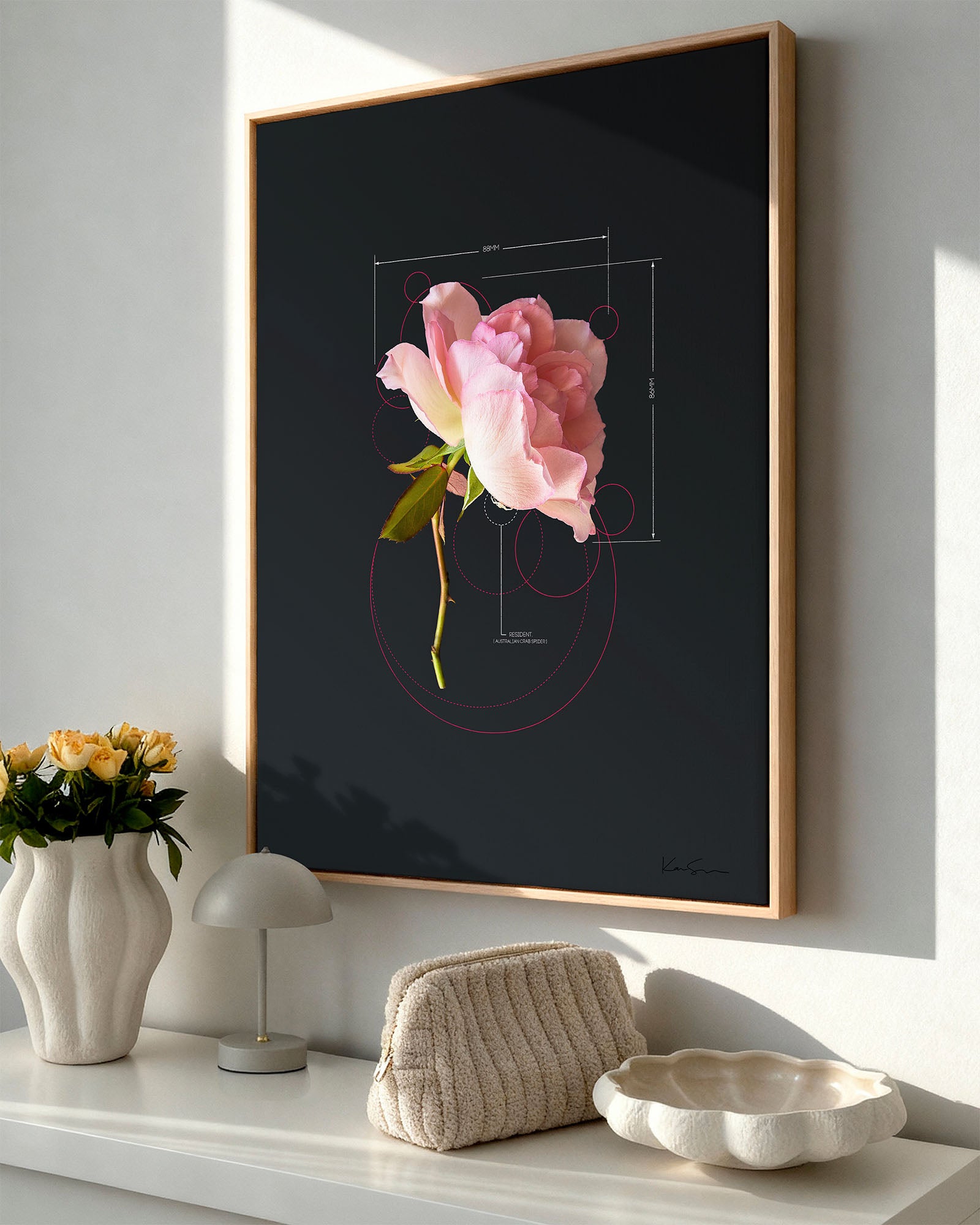 Rose-Pink Rose