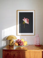 The Rose Pink Rose