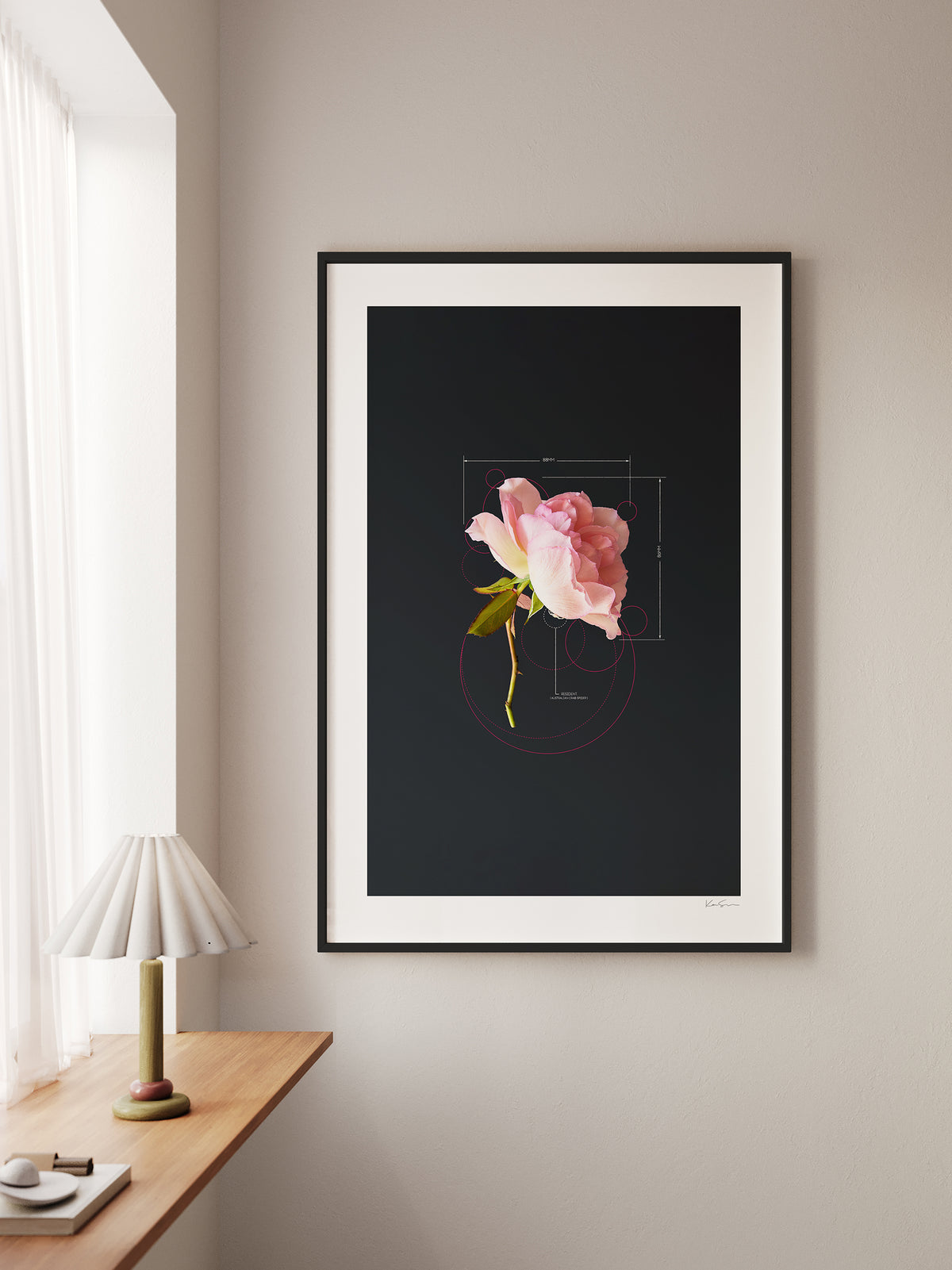 The Rose Pink Rose