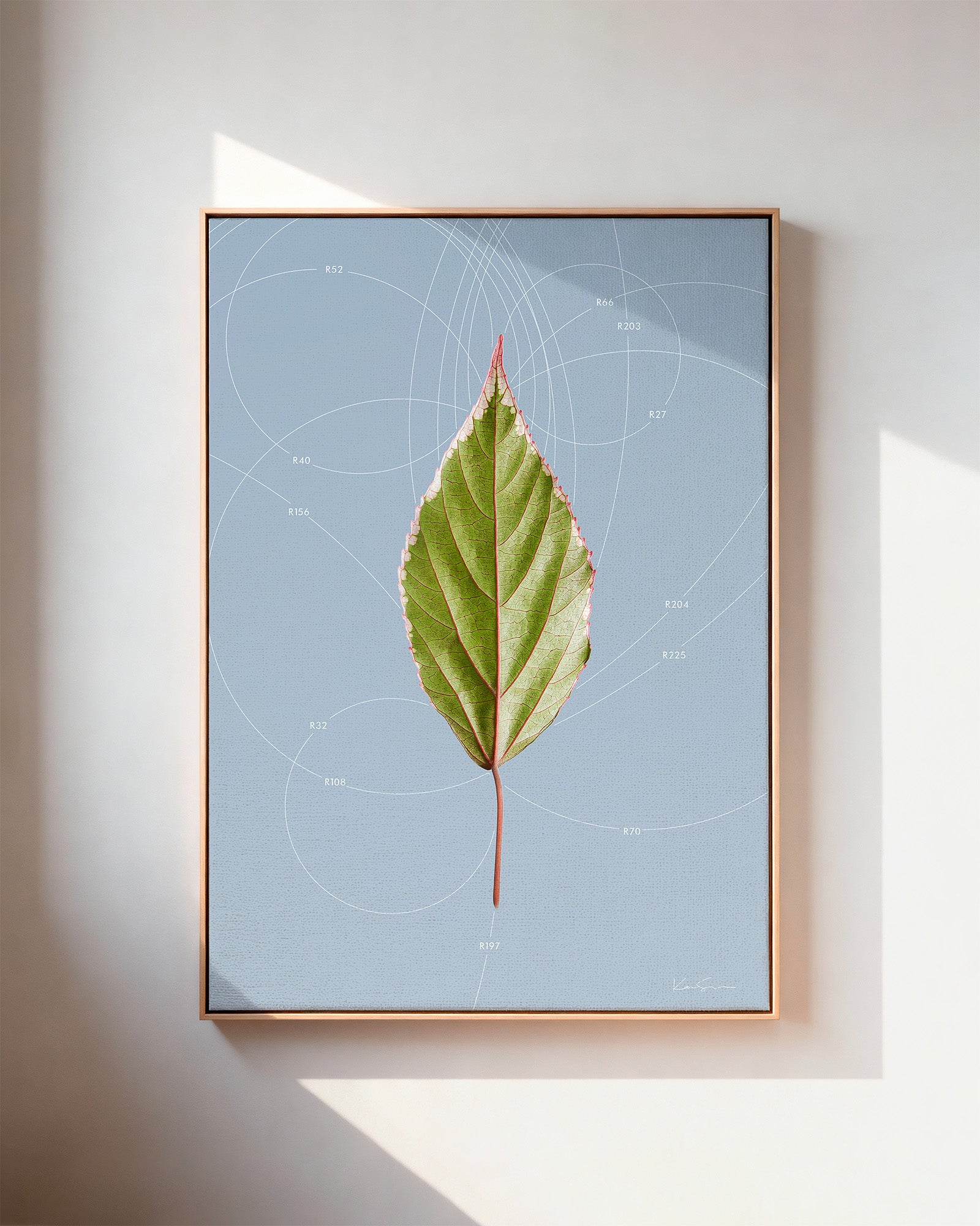Leaf Curvature