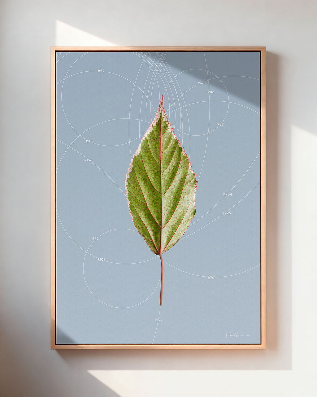 Leaf Curvature