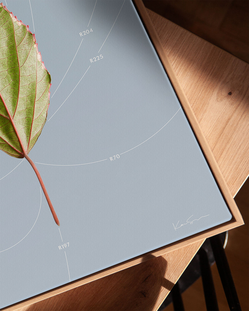 Leaf Curvature