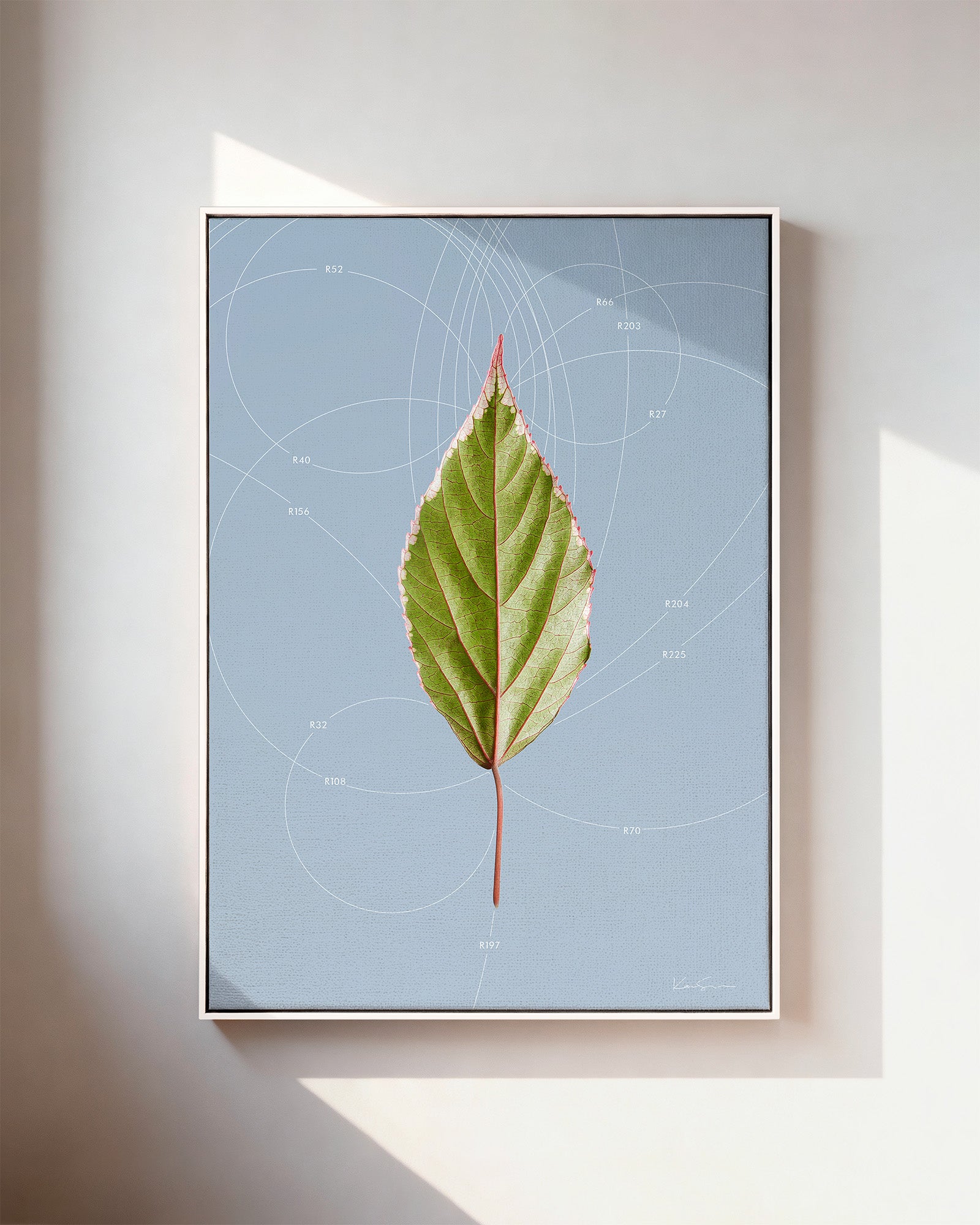 Leaf Curvature