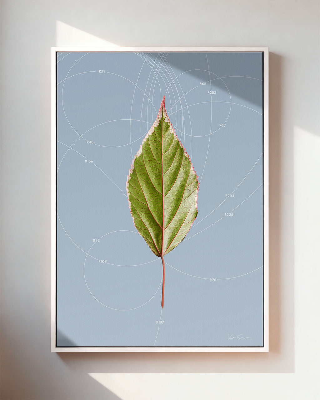 Leaf Curvature
