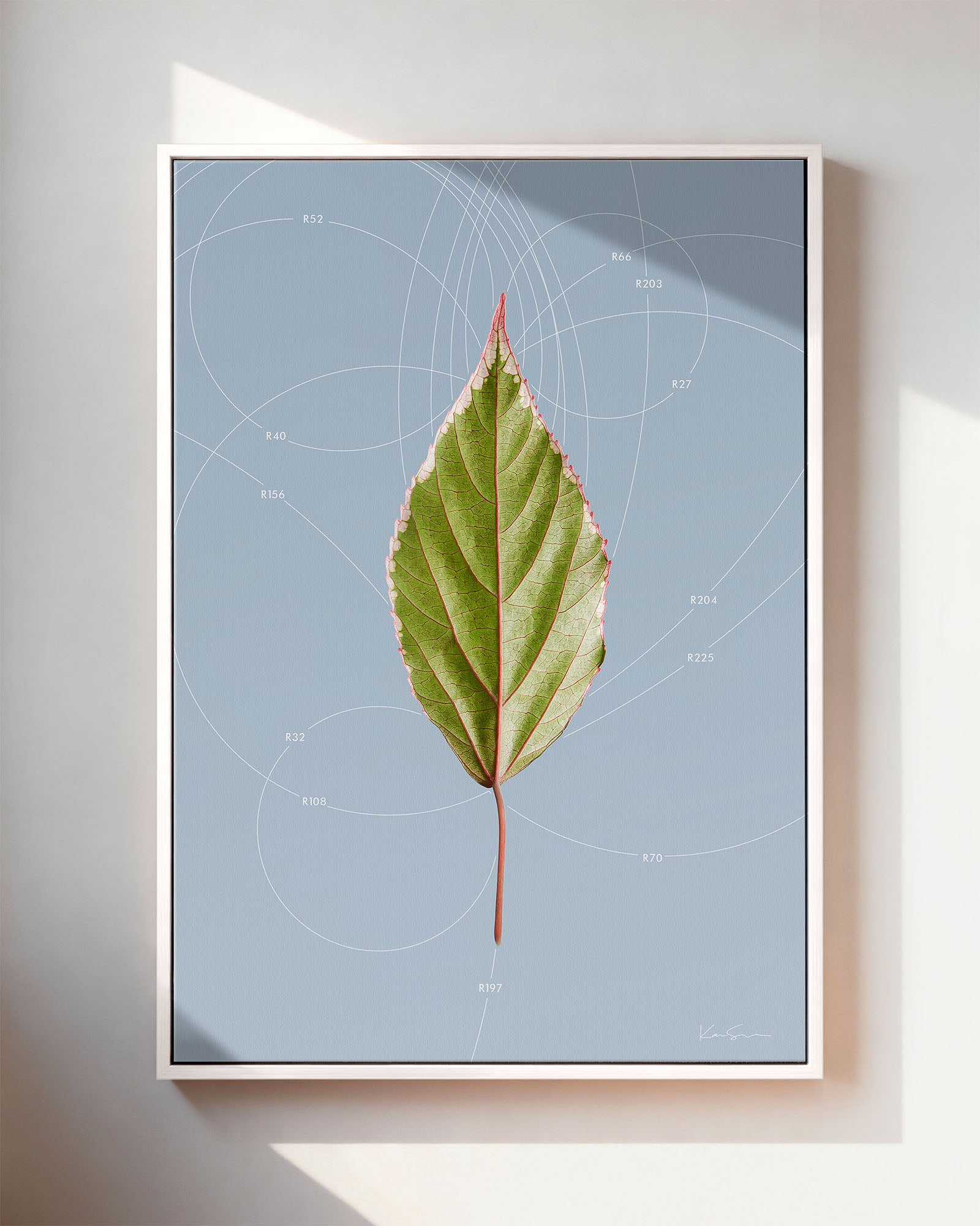 Leaf Curvature
