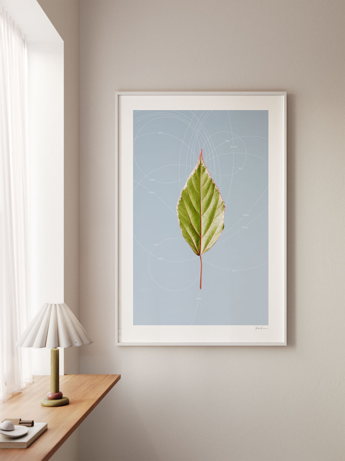 Leaf Curvature