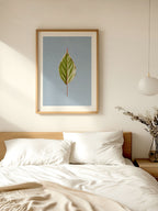 Leaf Curvature