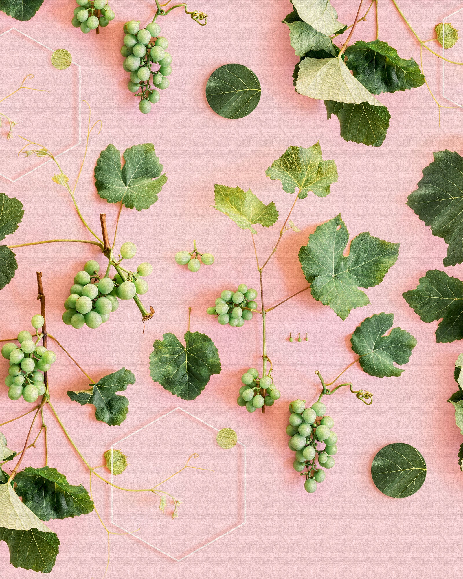 Pink Moscato