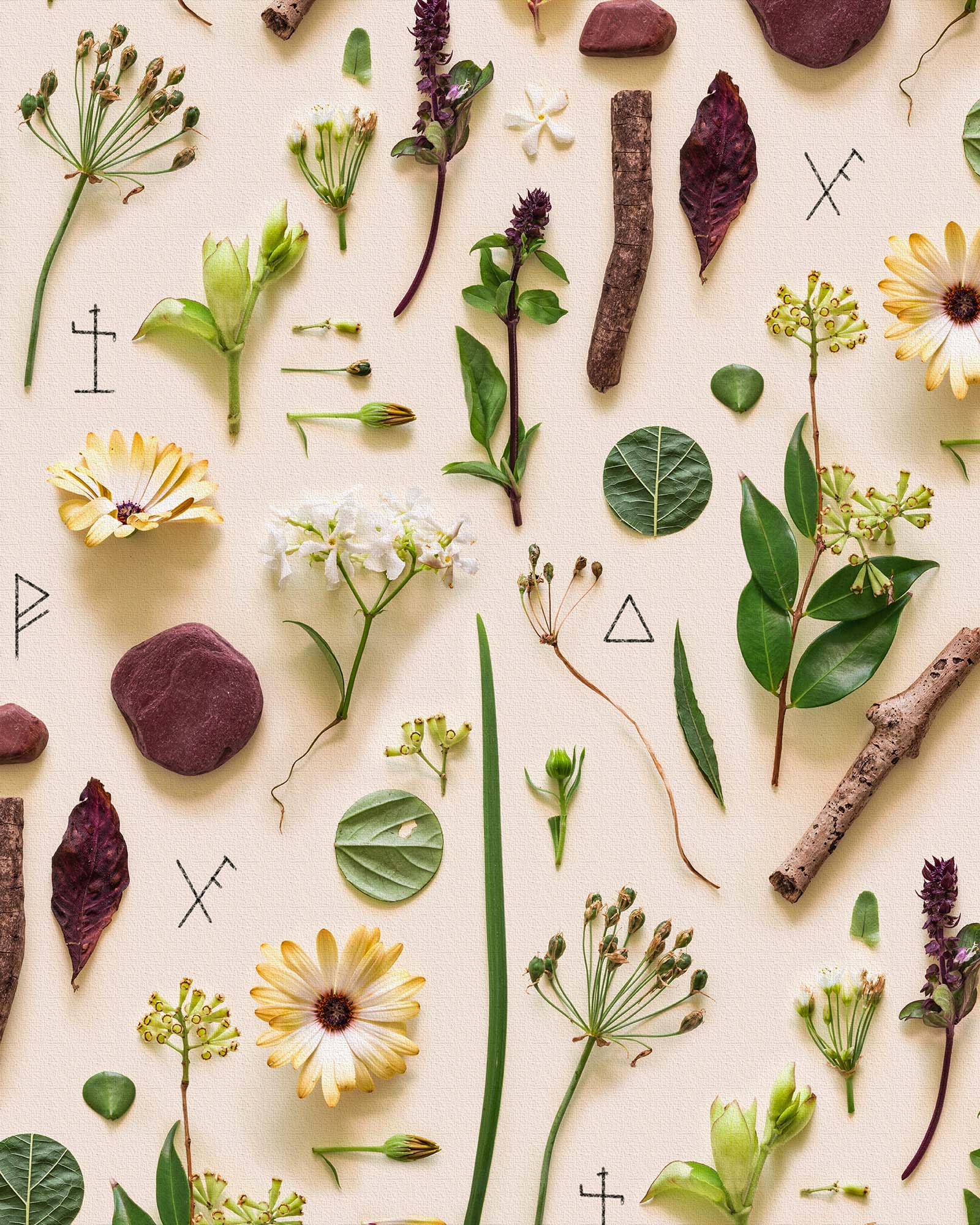 The Foraged