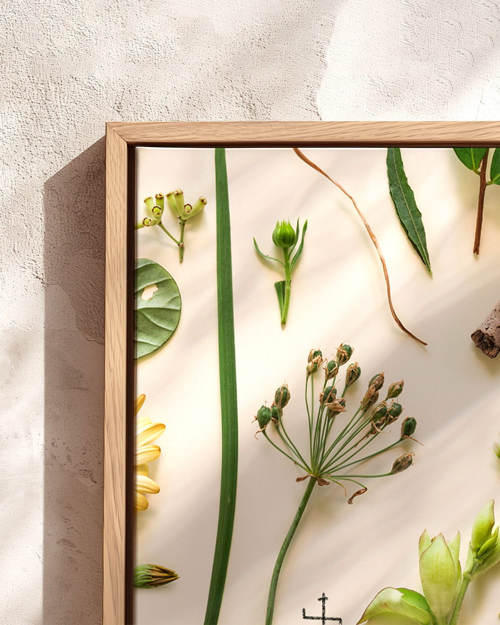 The Foraged