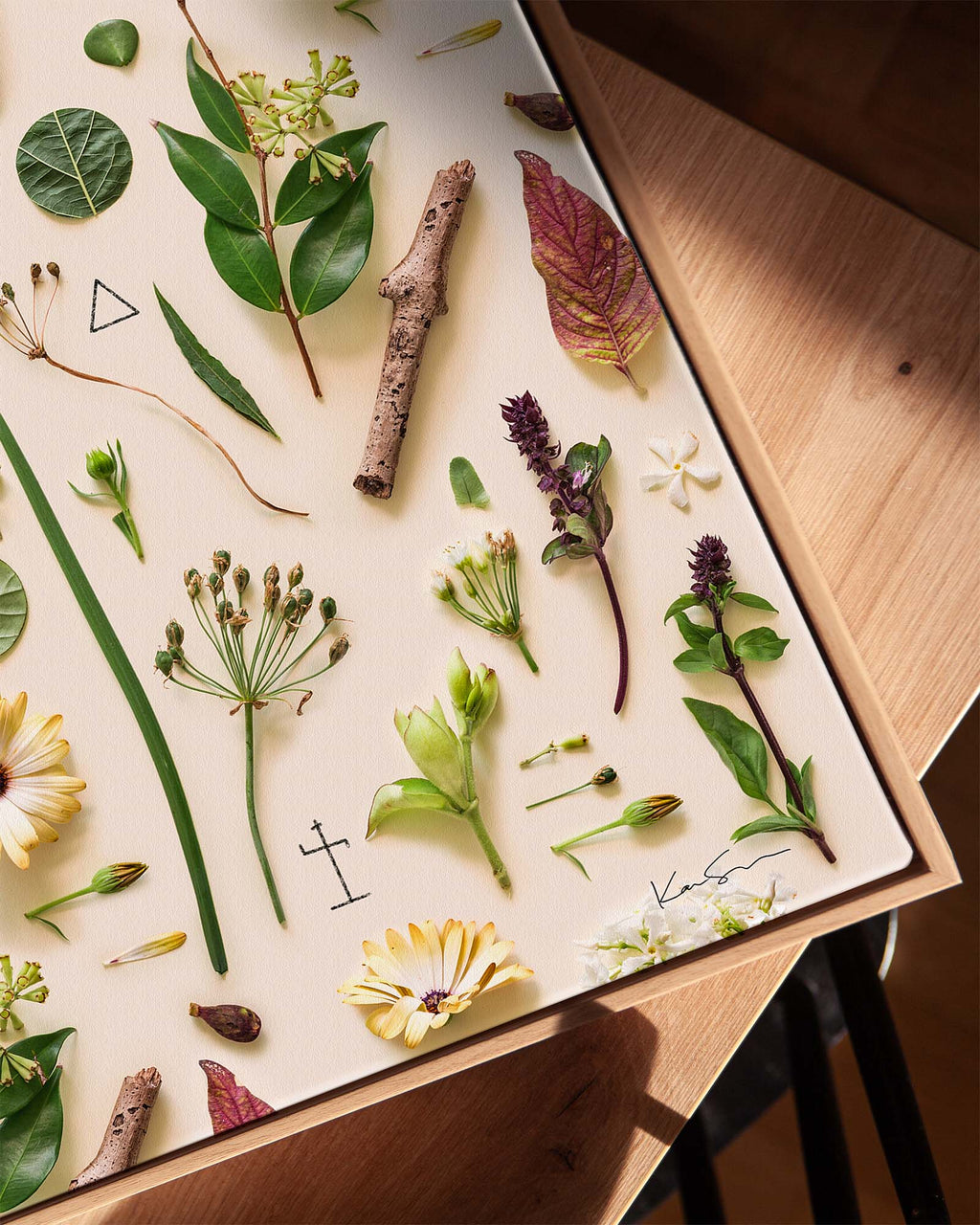 The Foraged