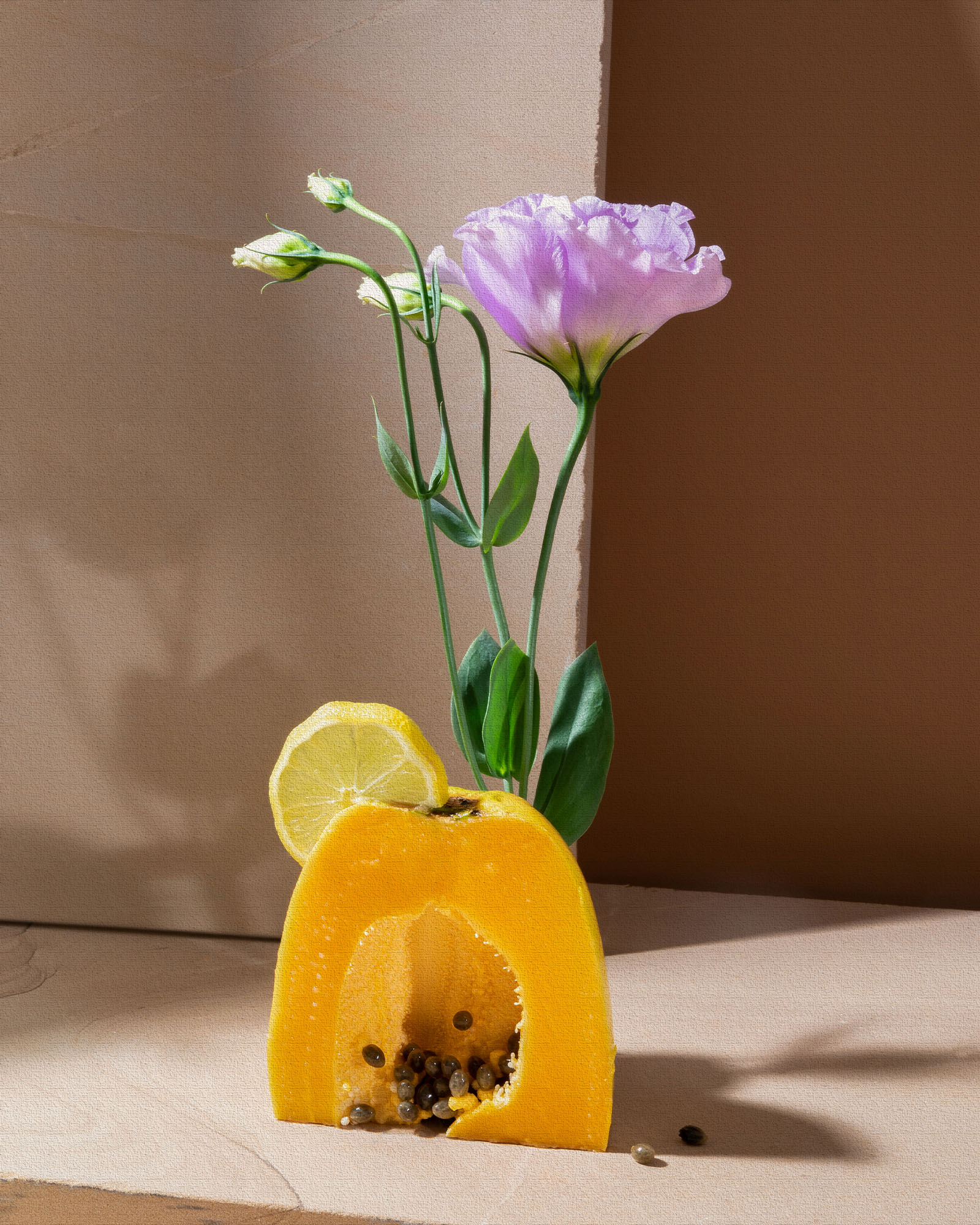 Papaya Dreams