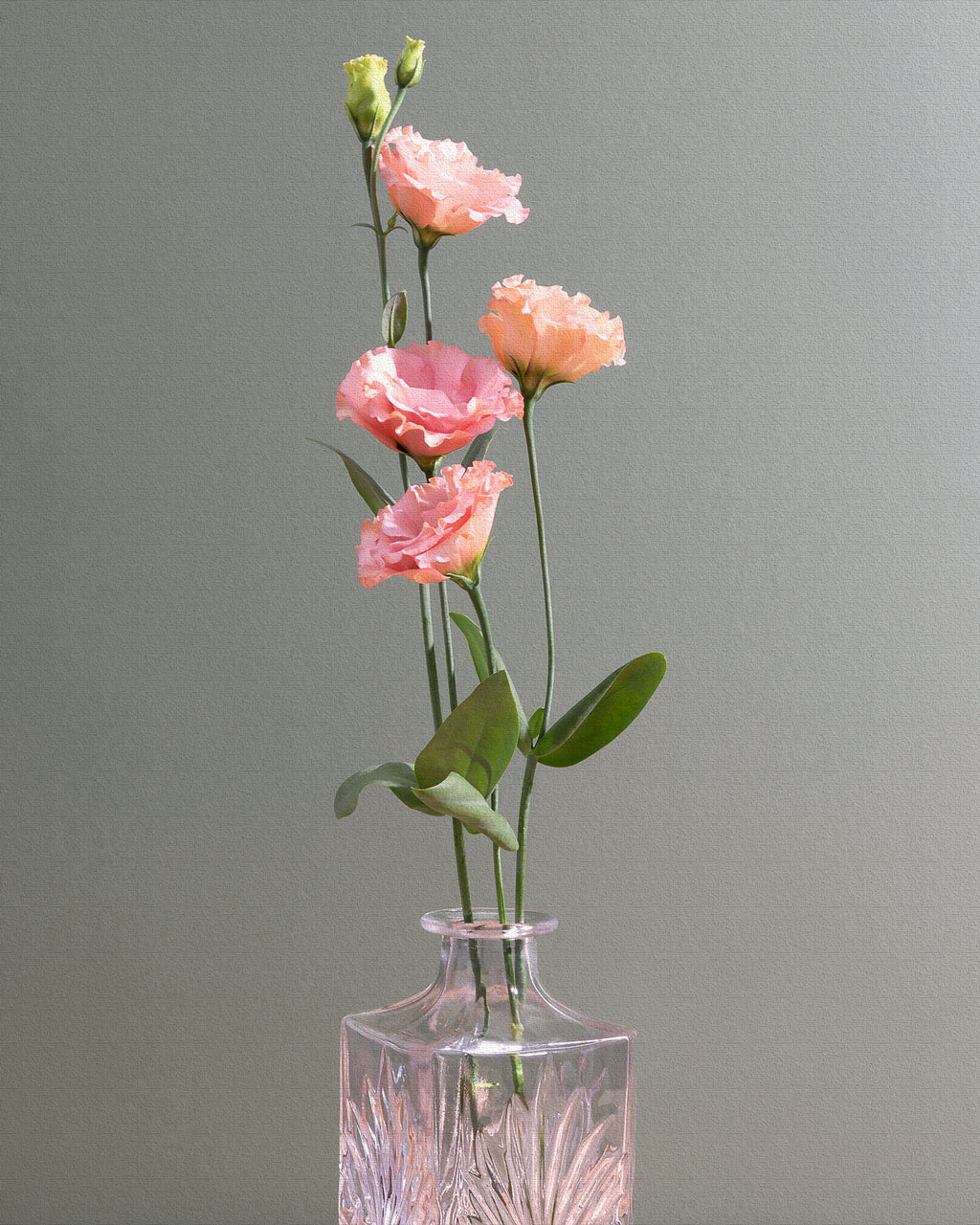 Sunday Blooms