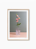 Sunday Blooms