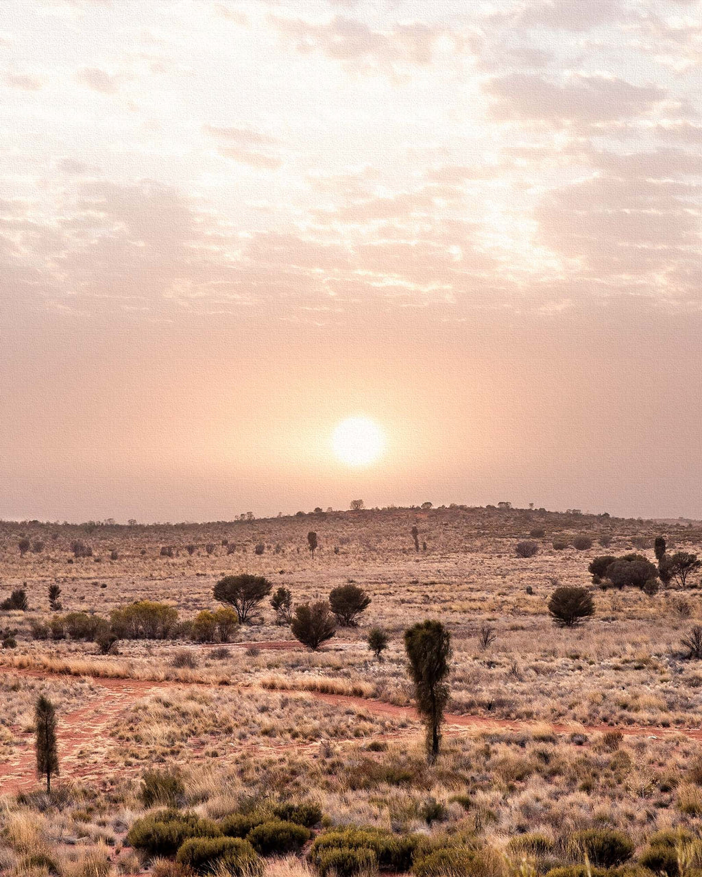 Desert Dusk