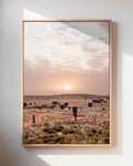 Desert Dusk