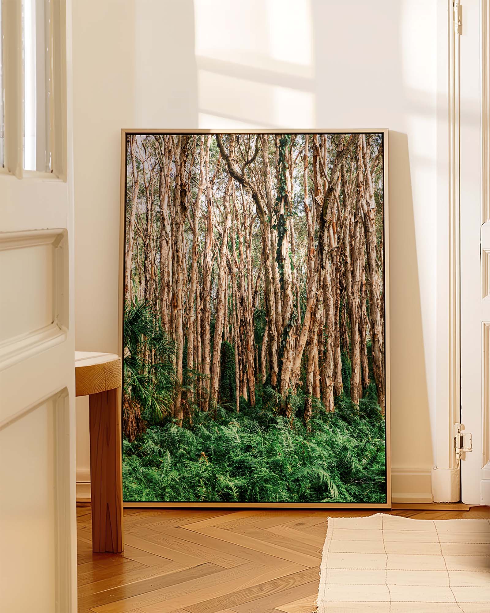 Paperbark Grove
