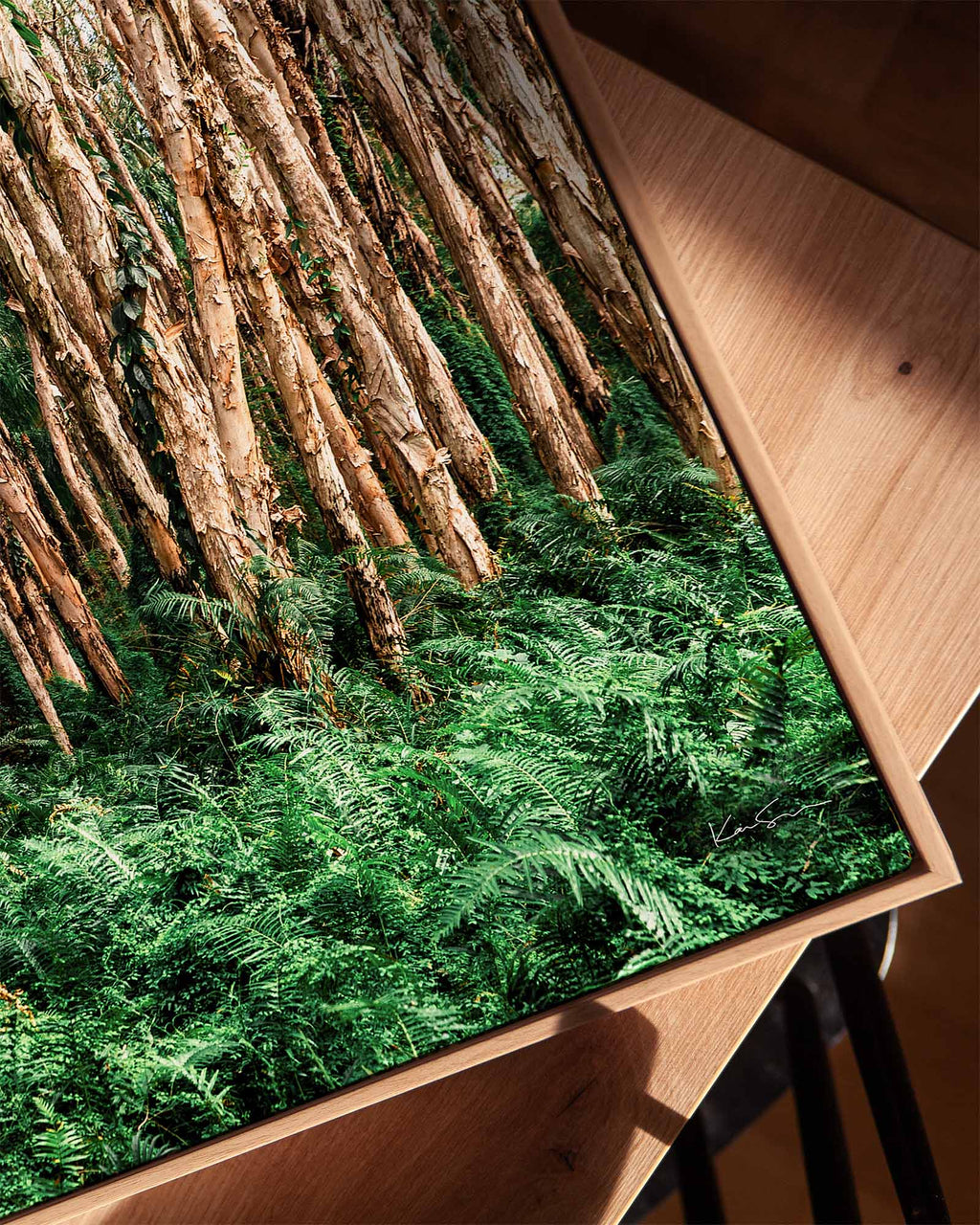 Paperbark Grove