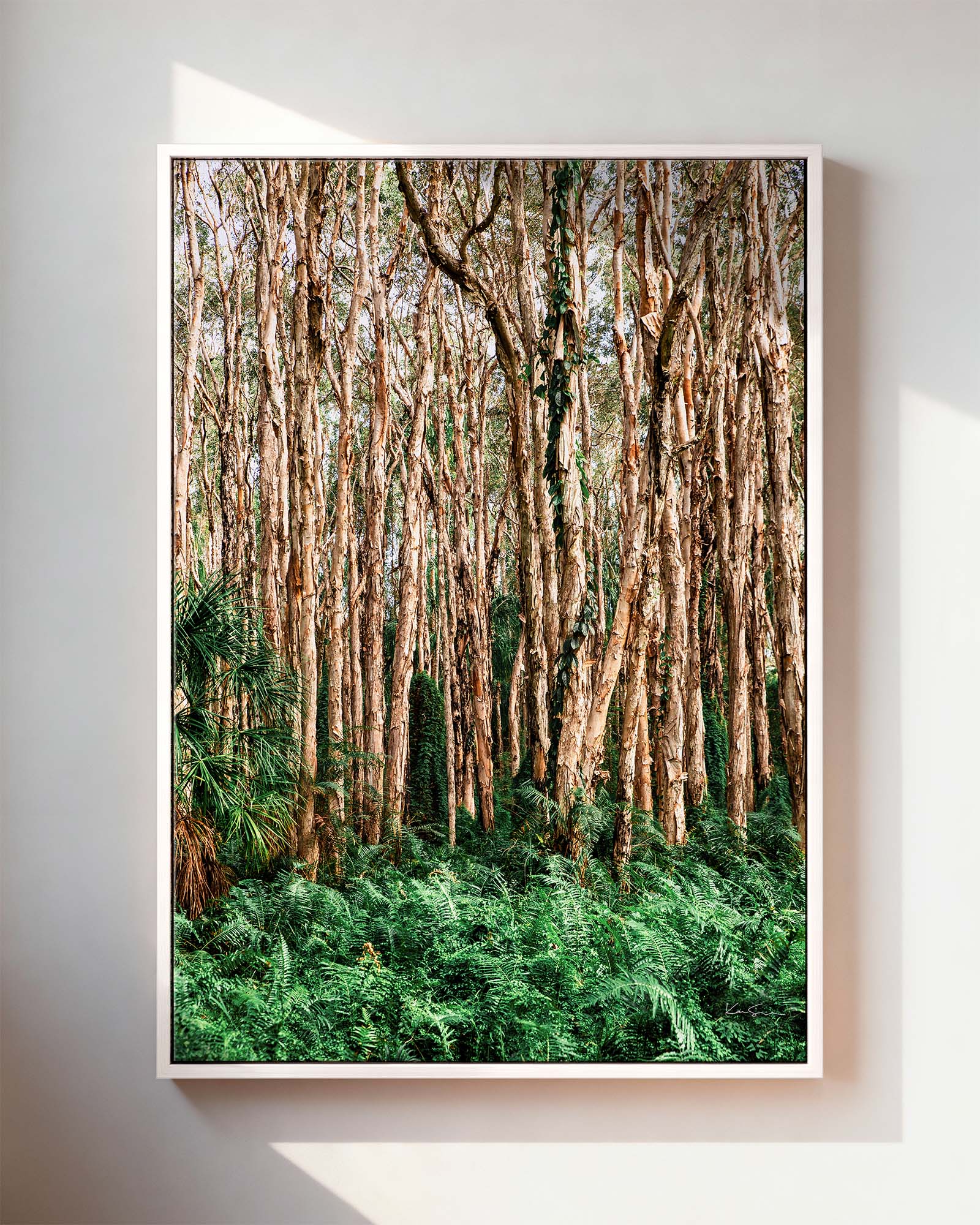 Paperbark Grove