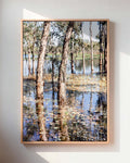 Paperbark Lake