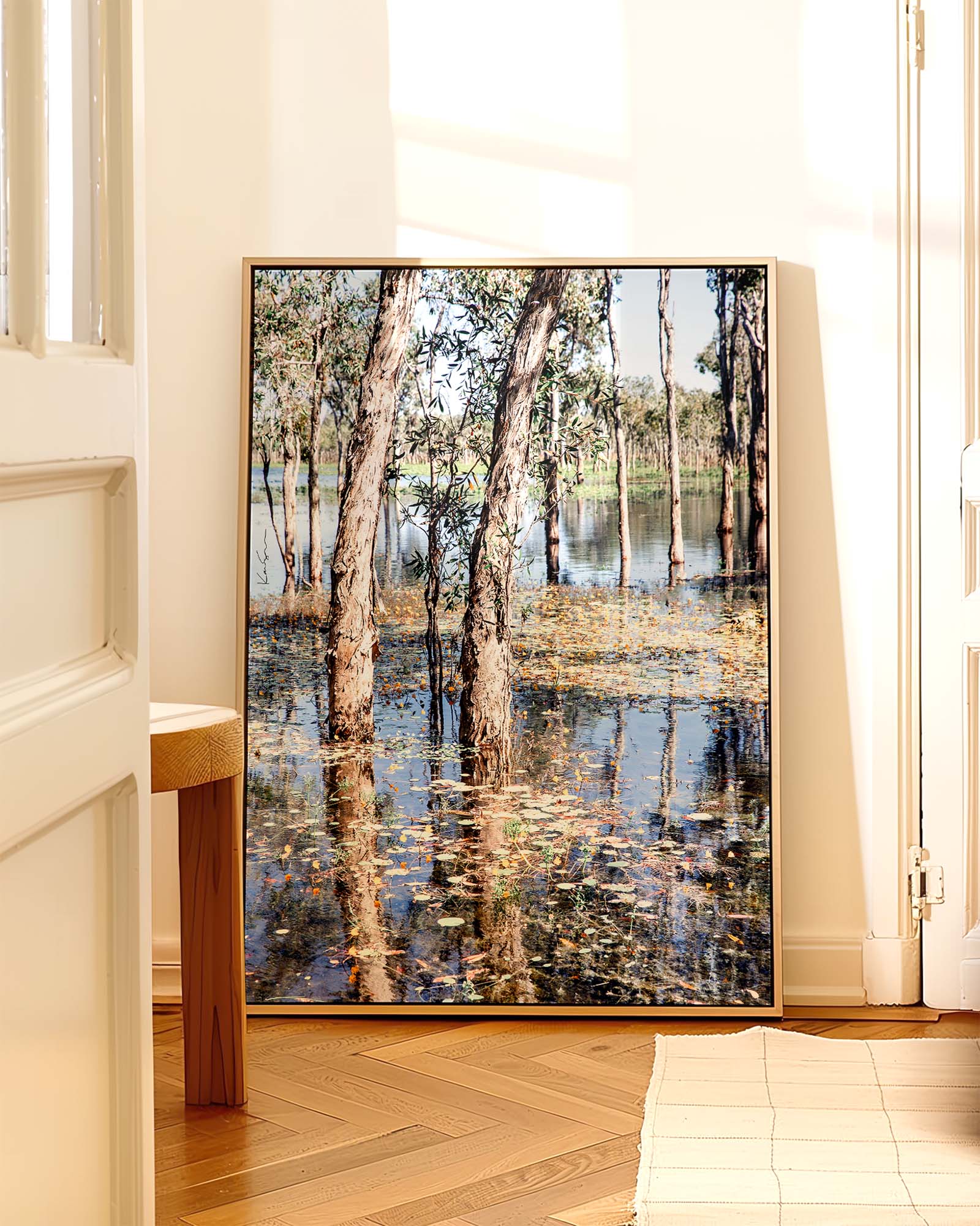 Paperbark Lake