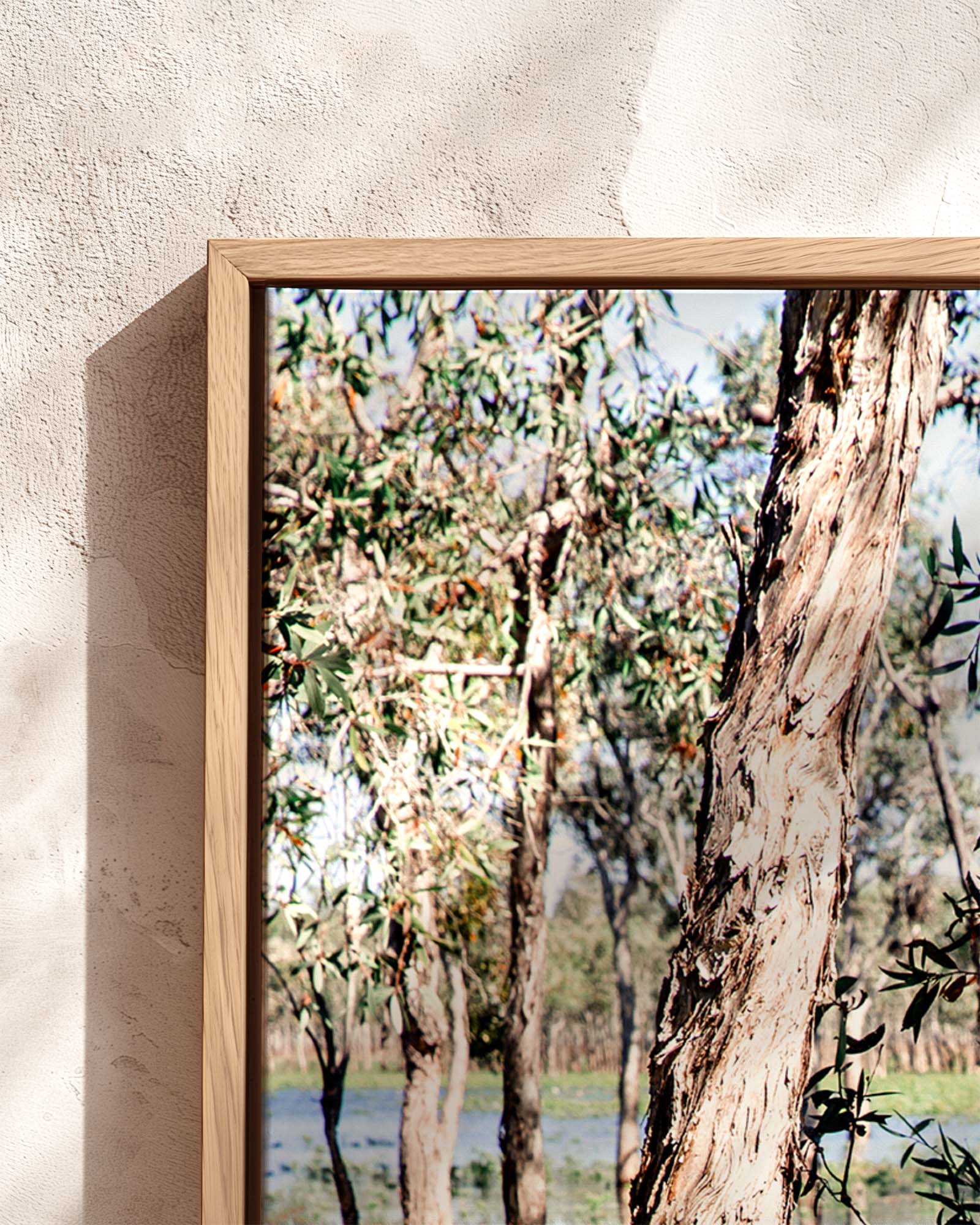 Paperbark Lake