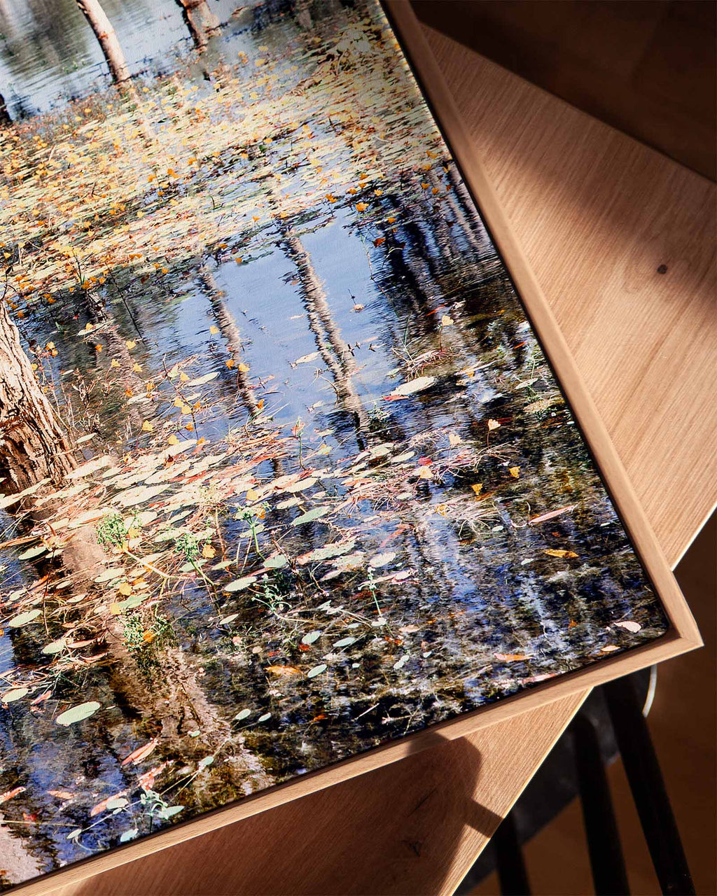Paperbark Lake