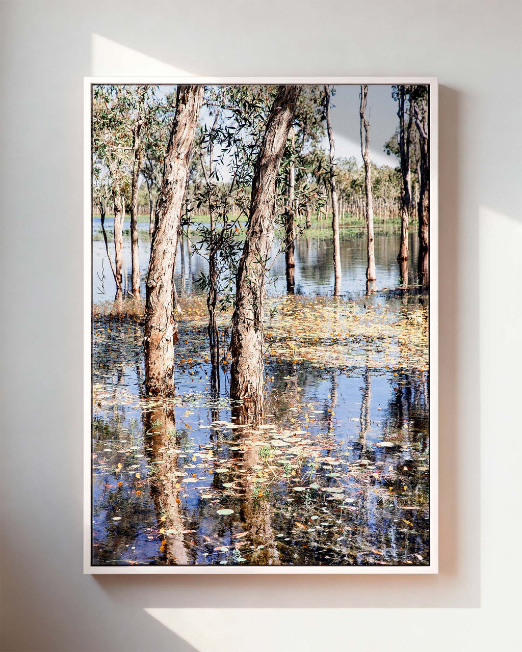 Paperbark Lake
