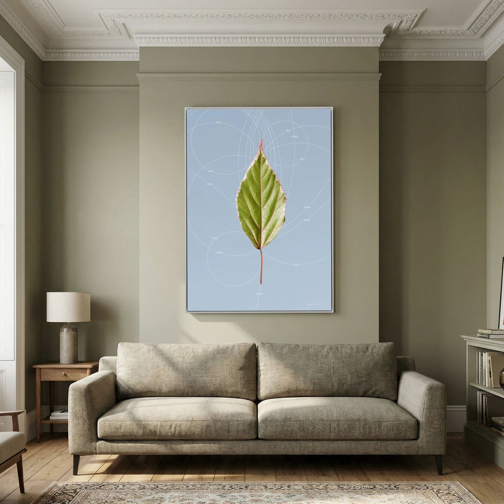 Leaf Curvature