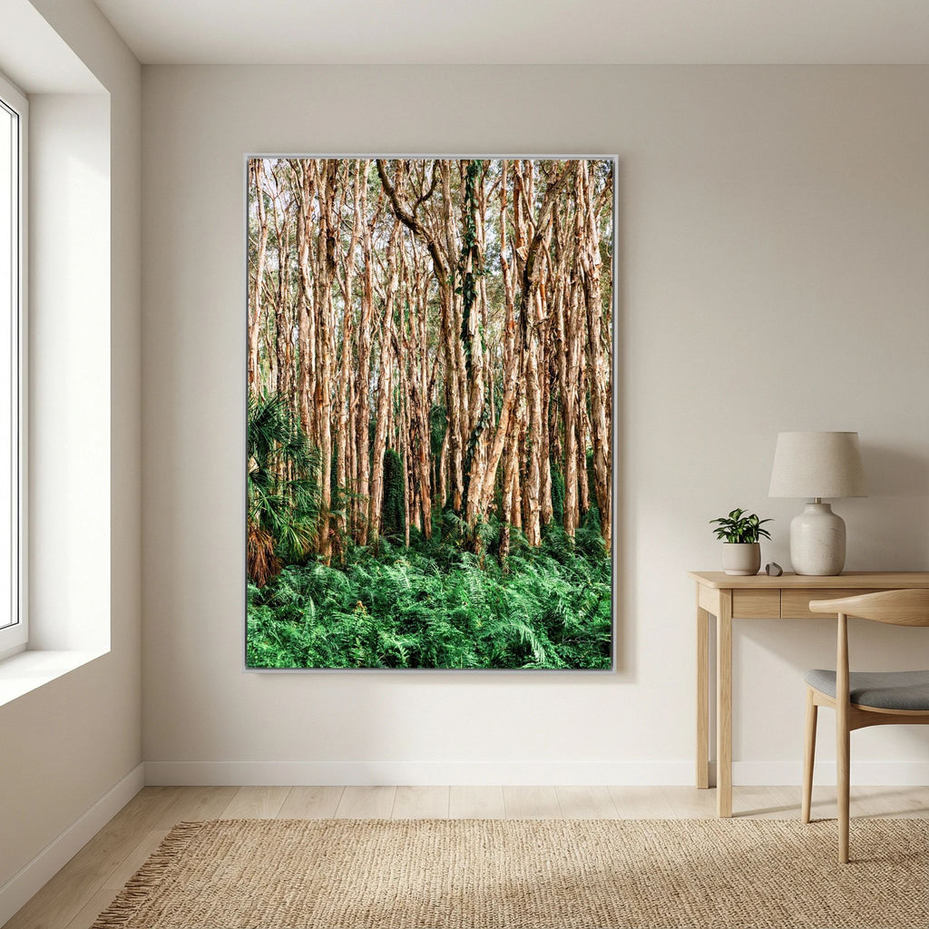 Paperbark Grove
