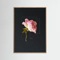 Rose Test