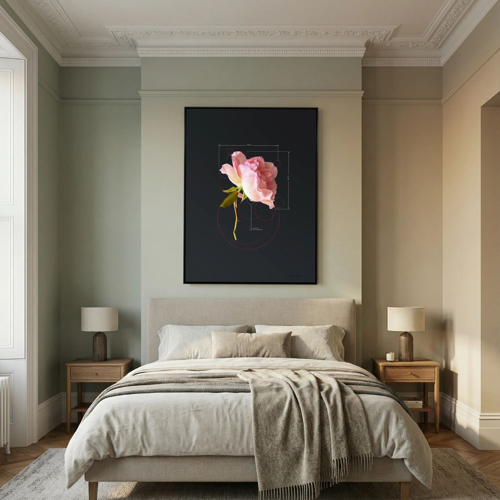 Rose-Pink Rose