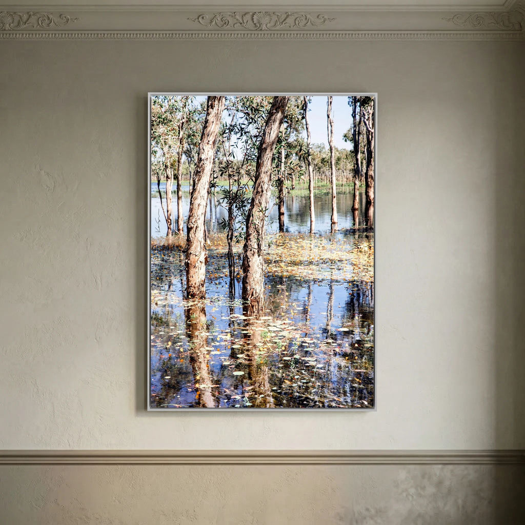 Paperbark Lake