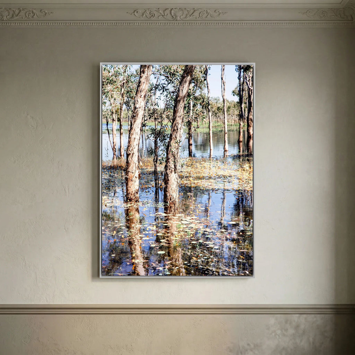 Paperbark Lake